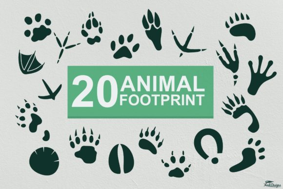 Animal Footprints Vector Graphics