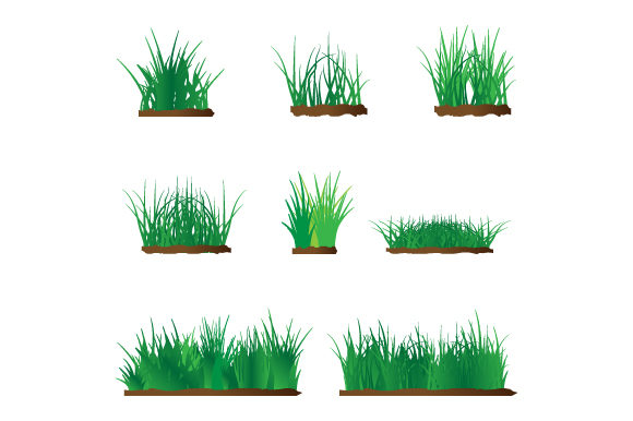 Grass Shape Illustration Graphics